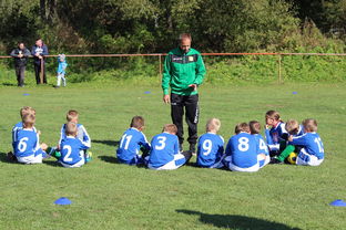 九游游戏中心官网-五大联赛是否提升边路轮换参与战术决策比重，五大联赛可以换5人